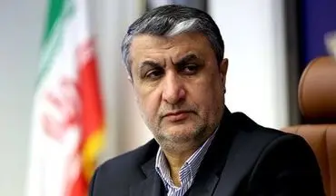 جزئیات جلسه کمیسیون امنیت ملی با اسلامی؛ تولید رادیودارو متوقف نمی‌شود