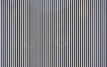 بگو ببینم در این تصویر سیاه و سفید چه حیوانی می بینید؟ بینایی خودتون رو محک بزنید!