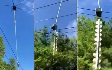 هرس درختان با روشی شگفت انگیز 