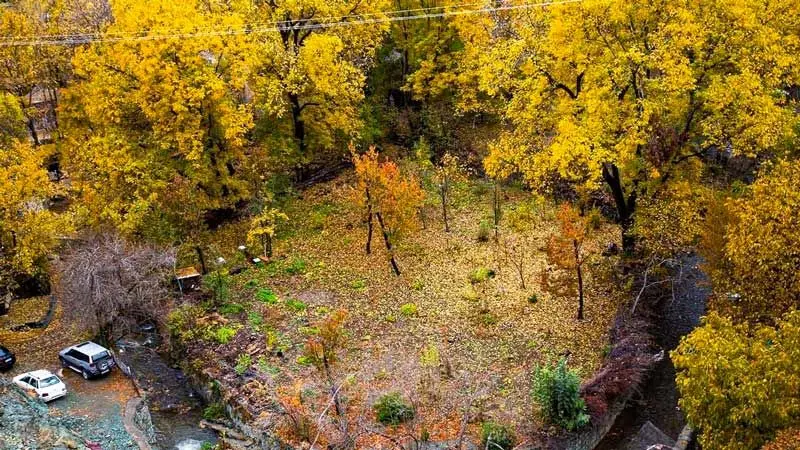 روستای فشم