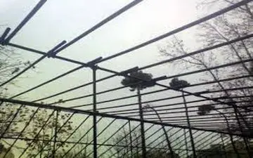 جزئیات حادثه سقوط داربست خیابان سعادت آباد