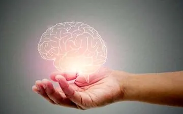 بهترین ویتامین برای مغز و اعصاب

