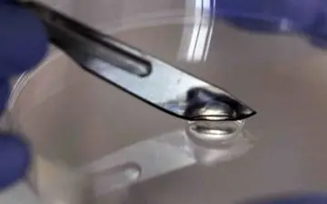 تولید ژل خودترمیم شونده‌ای که باکتری‌ها را می‌کشد