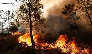جنگلهای کوه "حاتم بهمئی" در حال سوختن/ درخواست از مردم برای کمک