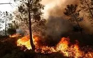 جنگلهای کوه "حاتم بهمئی" در حال سوختن/ درخواست از مردم برای کمک