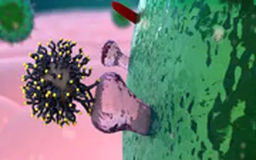  آیا لباس‌ها هم به کروناویروس آلوده می‌شوند؟