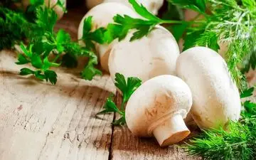 
قیمت انواع قارچ خوراکی در بازار + جدول 