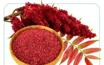 سماق گیاهی ضد درد و اضطراب