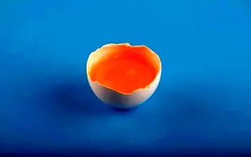 این خوراکی ها مانع ریزش مو می شوند