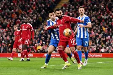 IMG_20260215_024415_396