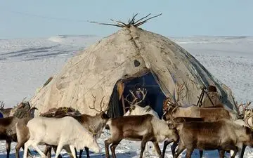 قوم چوکچی روسیه، انسان هایی از دوره کهنه سنگی