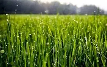  هشدارهای هواشناسی به کشاورزان تا ۲۲ اردیبهشت