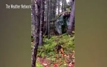 پدیده‌ای عجیب از تکان خوردن زمین در کانادا!+فیلم