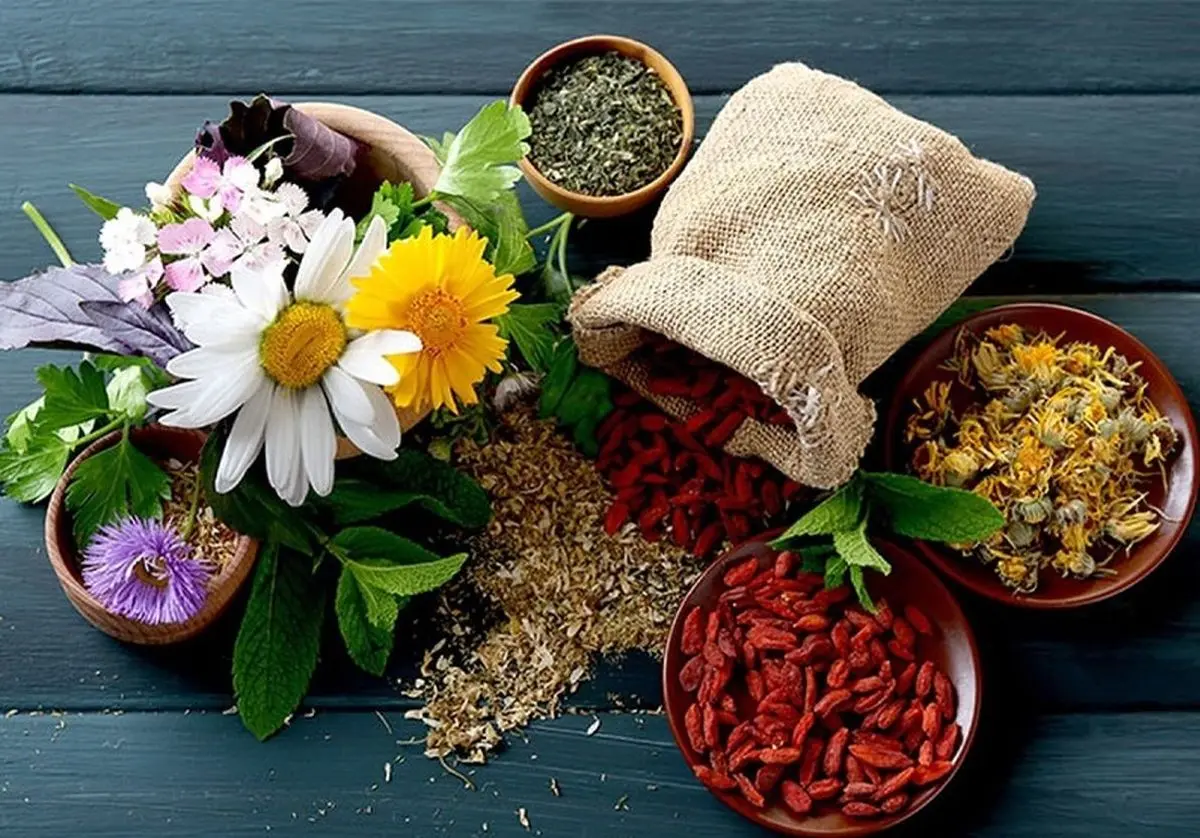نقشه راه ایران برای فتح بازارهای جهانی با گیاهان دارویی