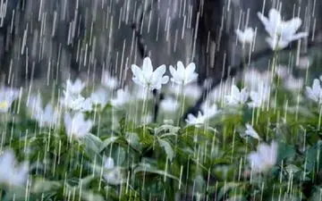 افزایش حجم بارش‌ها در خراسان رضوی طی روزهای آینده