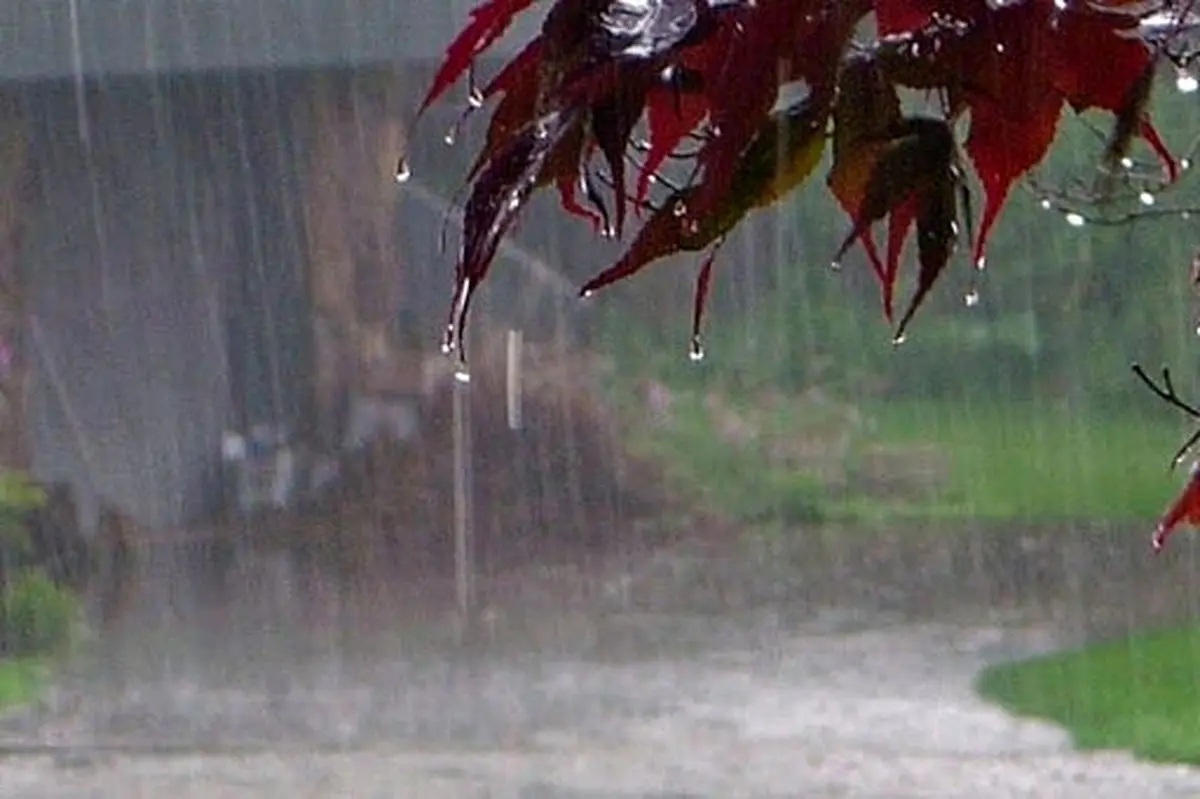 پیش بینی آب و هوا/ بارش باران در جاده‌های ۵ استان کشور