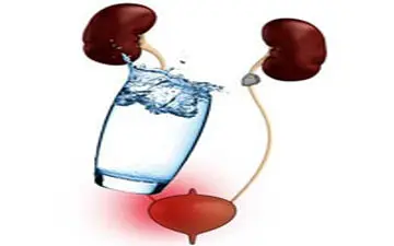  چرا سوزش ادرار بیشتر به سراغ خانم ها می آید؟