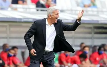 پتکوویچ سرمربی استقلال نمی شود