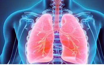 هشدار جدی: ضرورت تقویت سیستم ایمنی برای مقابله با ویروس‌ها
