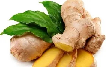 زنجبیل چگونه به لاغری کمک می‌کند؟