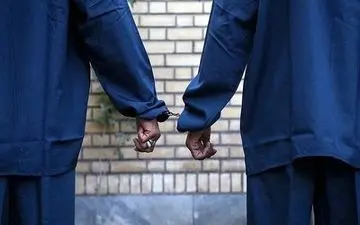 ۱۵ سرتیم شرکت هرمی فایننشیال دستگیر شدند