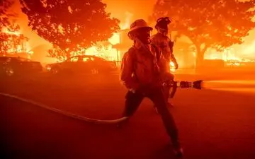 لحظات دلخراش از هرج و مرج در آتش سوزی لس‌آنجلس / انسان ها و حیوان ها می میرند !