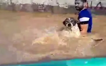 نجات حیوانات گرفتار در «آق‌قلعه» + فیلم 