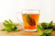 هدیه طبیعت برای مغز و بدن/ هر آنچه باید از این چای بدانید!
