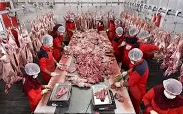 

گوشت در ازای گاز؛ معامله عجیب ایران با پاکستان 