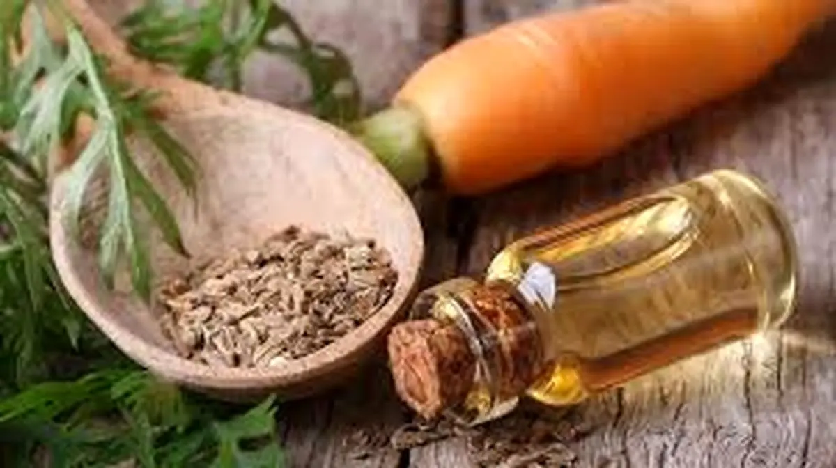   ۴ فایده شگفت‌انگیز روغن هویج برای مو 