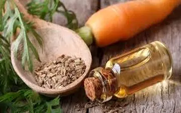 ۴ فایده شگفت‌انگیز روغن هویج برای مو