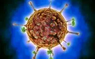 شیوع ویروس جدید «لانگیا» باز هم در چین؛ آیا همه گیری بزرگ دیگری در راه است؟
