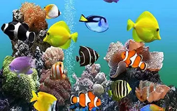 روش ساخت آکواریوم وارونه + فیلم