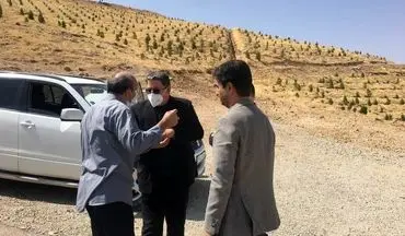 
پیاده راه مدرس و خط BRT مدرس پروژه طلایی شهرداری کرمانشاه