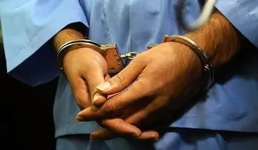 دستگیری سارقان به عنف با ۳۵ فقره سرقت در البرز
