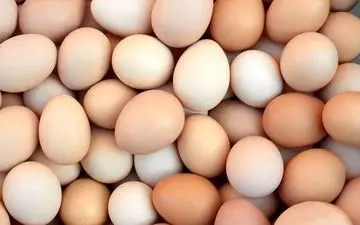 خداحافظی با باورهای قدیمی/ تخم‌مرغ، قربانی سوءتفاهم‌های علمی شد