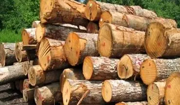 کشف 6 تن چوب جنگلی قاچاق در میاندورود