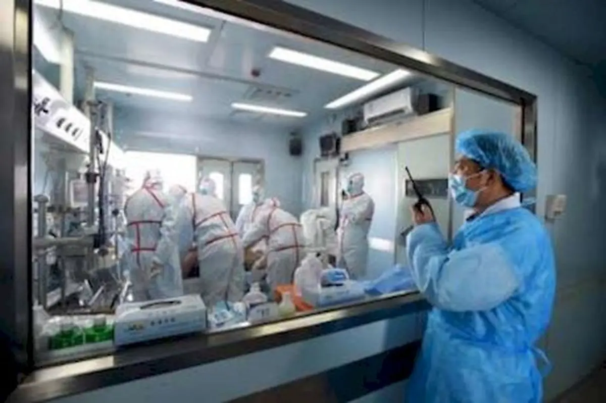 مرگ 79 نفر در چین بر اثر ابتلا به آنفلوآنزای پرندگان