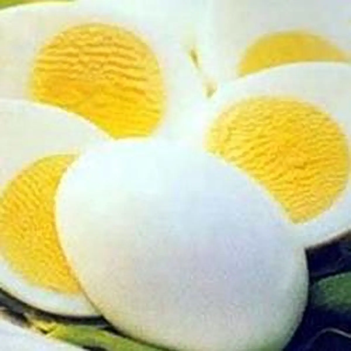 اهمیت خوردن تخم مرغ آب پز در وعده صبحانه 