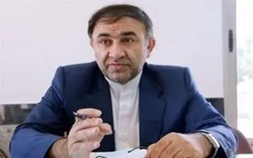  حسن زاده: به بیرانوند فرصت دفاع خواهیم داد