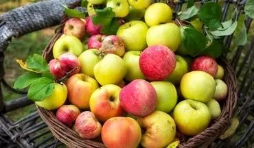 کاری که خوردن روزانه سیب با بدن انسان می‌کند