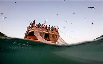 صیادان اجاز صید در آب‌های خلیج فارس در محدوده استان بوشهر را ندارند 