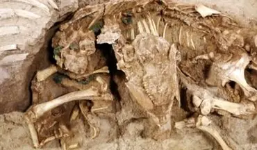 کشف شش اسکلت چهار هزار ساله در بابل
