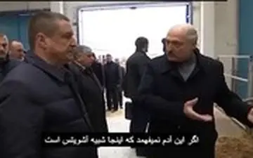 عزل استاندار و دستیار رئیس جمهور وسط گاوداری!