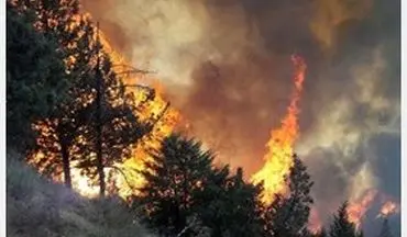 جنگل های رامیان وکلاله در آتش سوخت