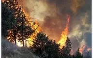 جنگل های رامیان وکلاله در آتش سوخت