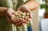 این خوراکی خوشمزه قاتل طبیعی اضطراب و تقویت‌کننده تمرکز است! 