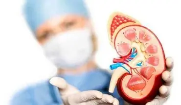 عملکرد درخشان هوش مصنوعی در پیش‌بینی بقای بیماران پیوند کلیه