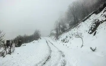 تمام محورهای استان کرمانشاه باز است/ کمک رسانی به ۵۵ خودروی گرفتار در برف