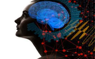 برای بالا بردن حافظه و ضریب هوشی چه راه هایی وجود دارد؟